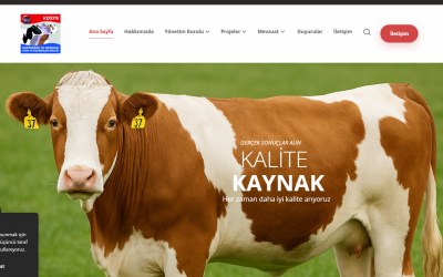 Kastamonu DSYB Portfolio