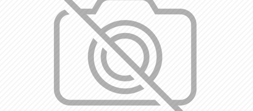 Custom Web Solutions Ltd